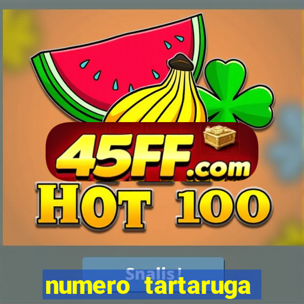 numero tartaruga jogo do bicho